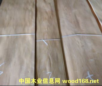 �������ҵ�Ԕ��(x��)��B