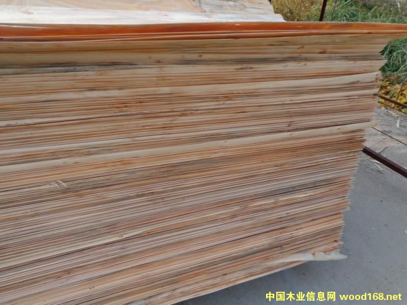 ݗ���ɊA��Ƥ�L(zh��ng)�а�