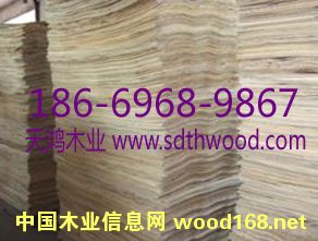 ݗ���ɊA��Ƥ��ƴ��ƴ��Ԕ��(x��)��B