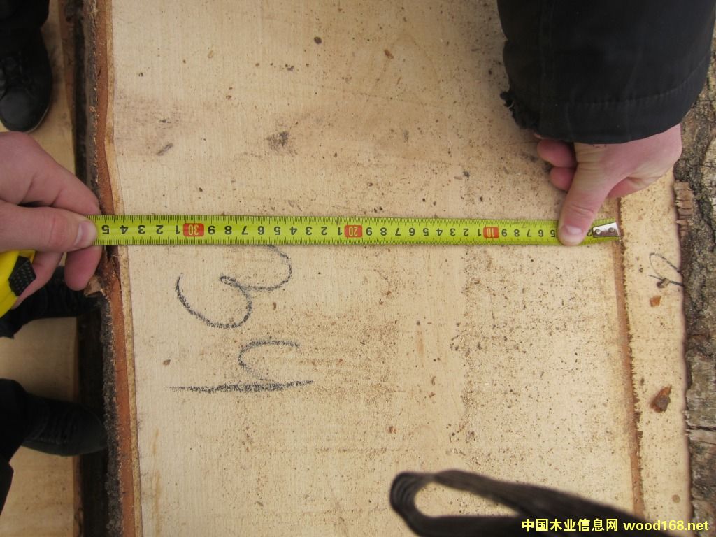 ��ľ���ë߅�ĵ�Ԕ��(x��)��B