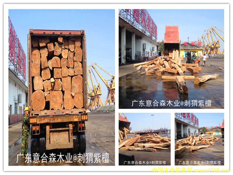 �����̴��Ԕ��(x��)��B