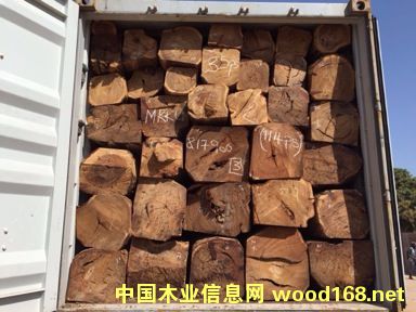 ���ȁ�������