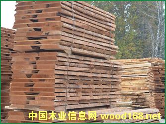 �M(j��n)��ë߅�ĵ�Ԕ��(x��)��B