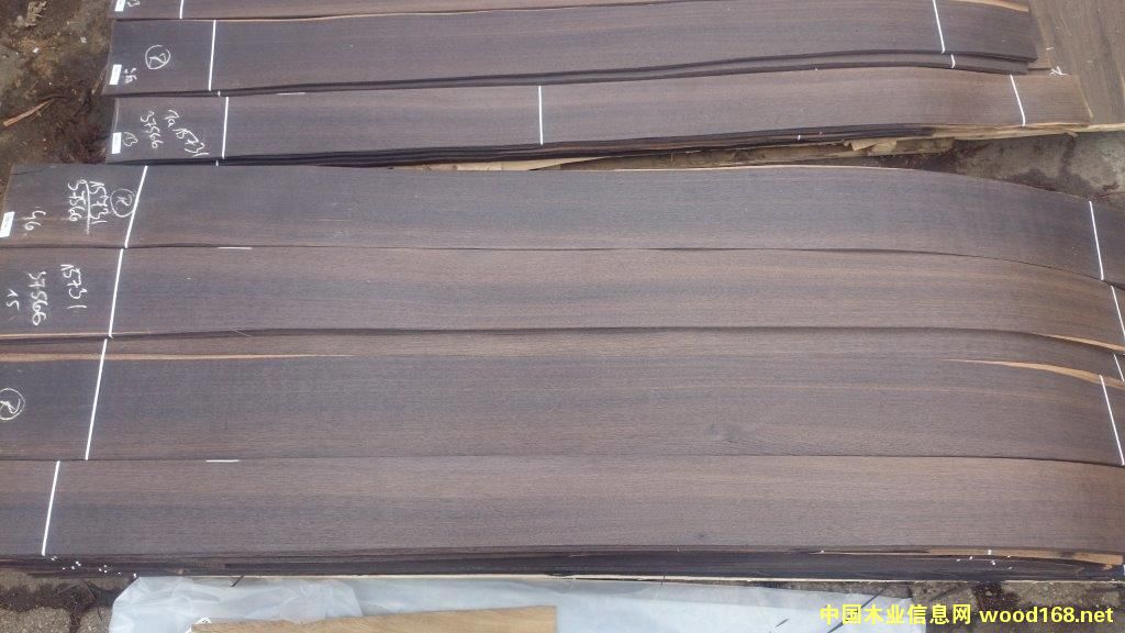 �W���M��55�ß�ѬľƤ