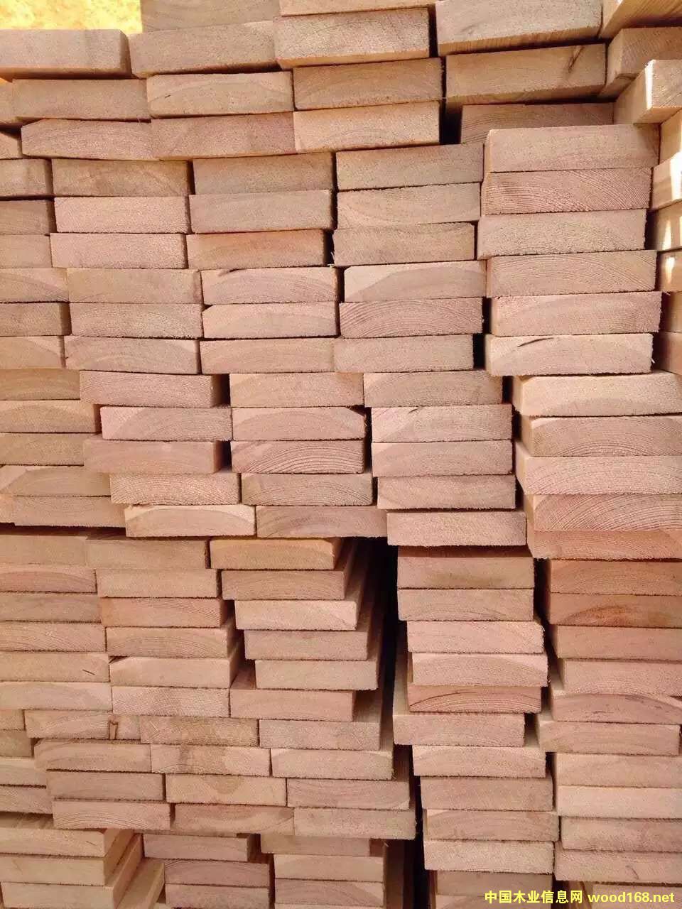 ���~�ɵ�Ԕ����B