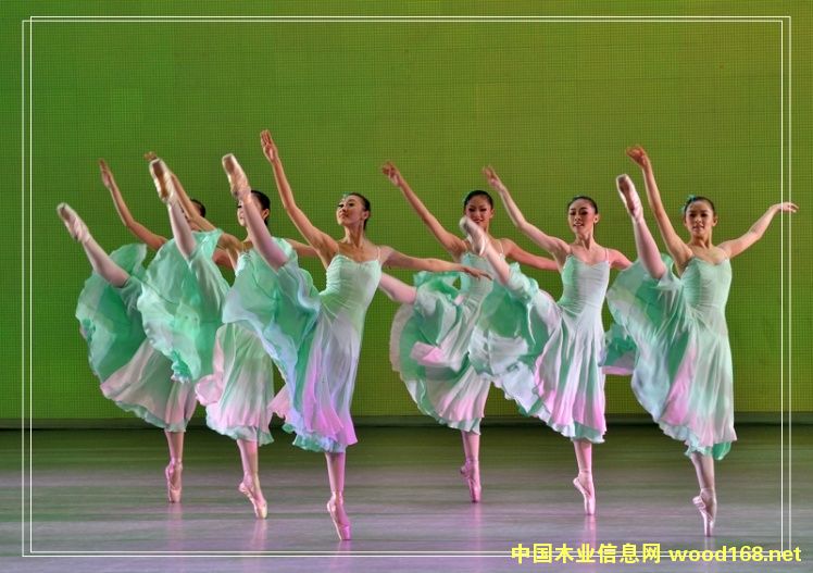 �����Wʽ�赸�҃�(n��i)���z pvc���z