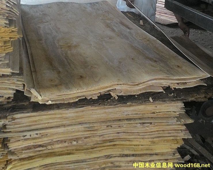 �R���������zľо���Ԕ����B