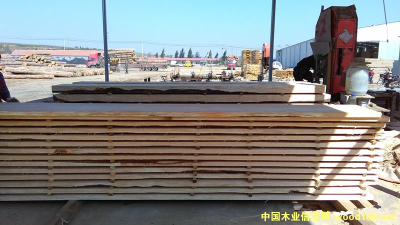 �й�(ji��)��