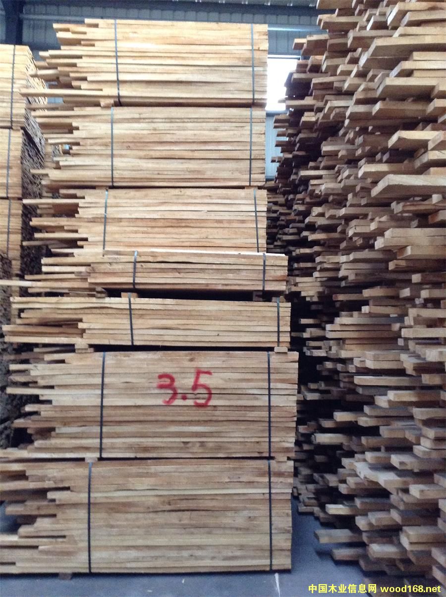 �������zľ