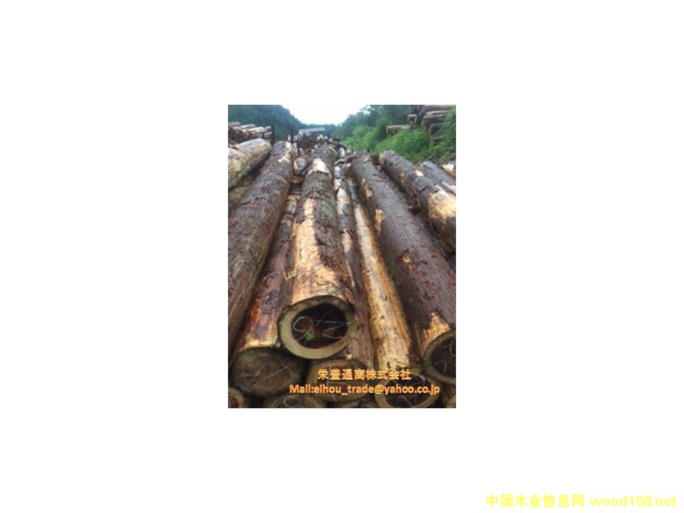 �ձ�ɼľԭľ(JAS)��Ԕ��(x��)��B