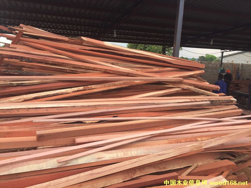 ZAMWINA �ͻ��U�ϵ�Ԕ��(x��)��B