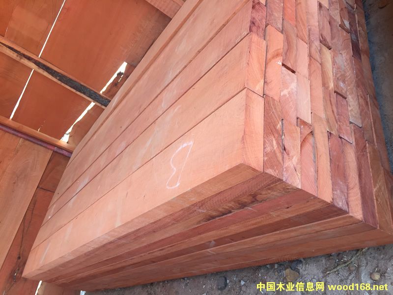 ZAMWINA �ͻ���ĵ�Ԕ��(x��)��B