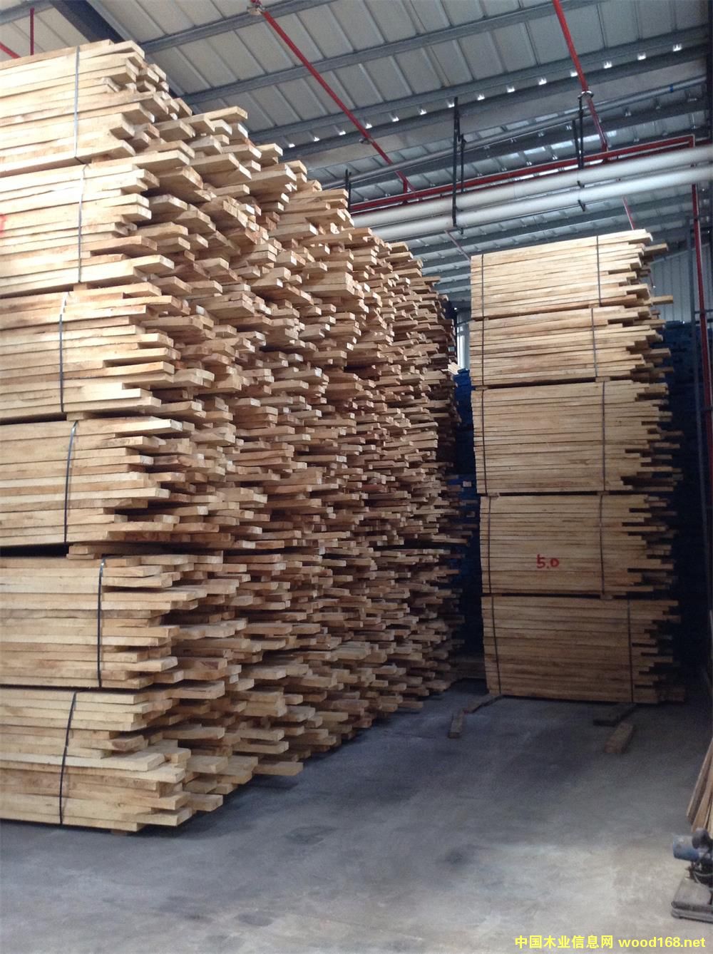 50MM�������zľ��Ԕ��(x��)��B