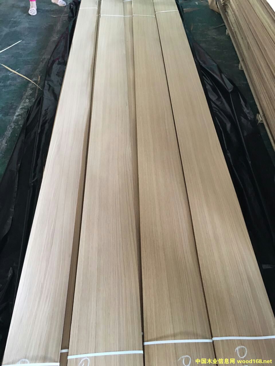 50�z����ֱ�yľƤ