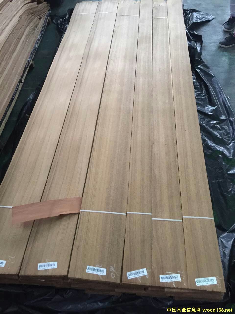 [��] ������ľ��ȻľƤ ������혷��Q(m��o)�ף�