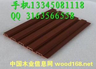 �P�� ����(y��ng) ���� �x�� ���] �������B(t��i)ľ�S�҃r��