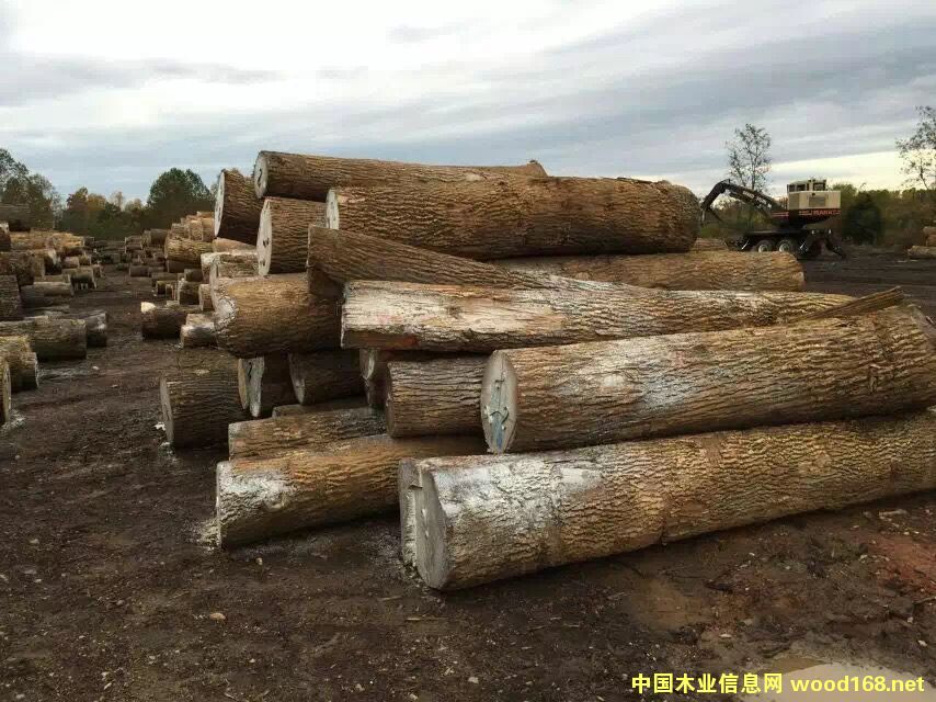 ������Ϟԭľ��Ԕ��(x��)��B