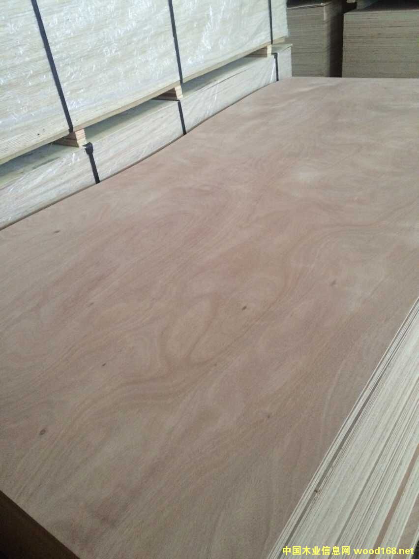 �Ҿ߰��W�������