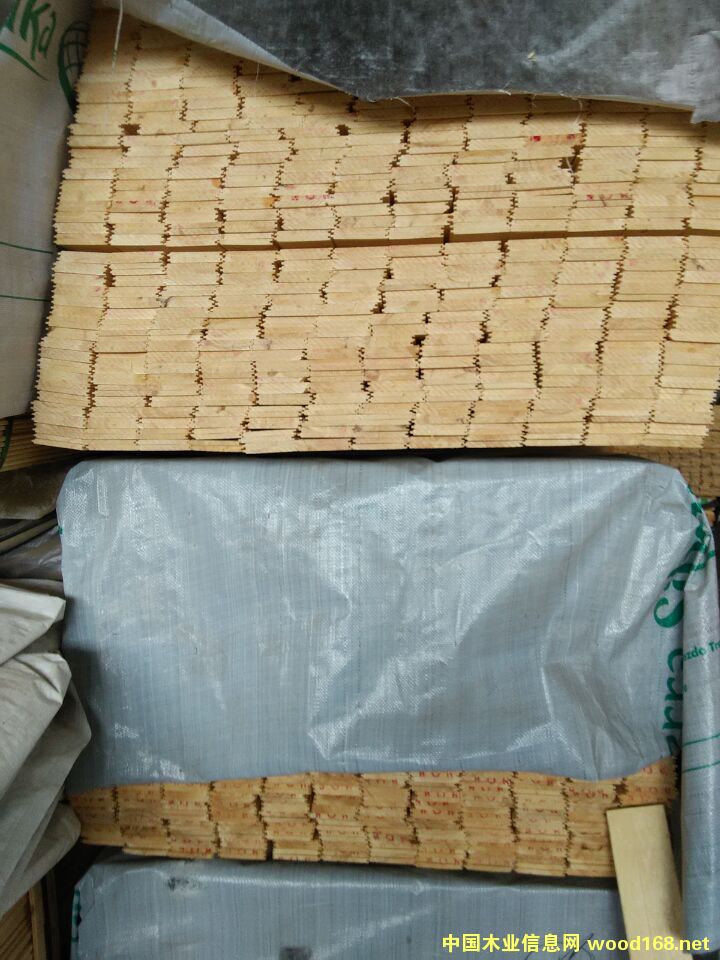 [��] ��ľ��¹�󱳰�����ϰ��