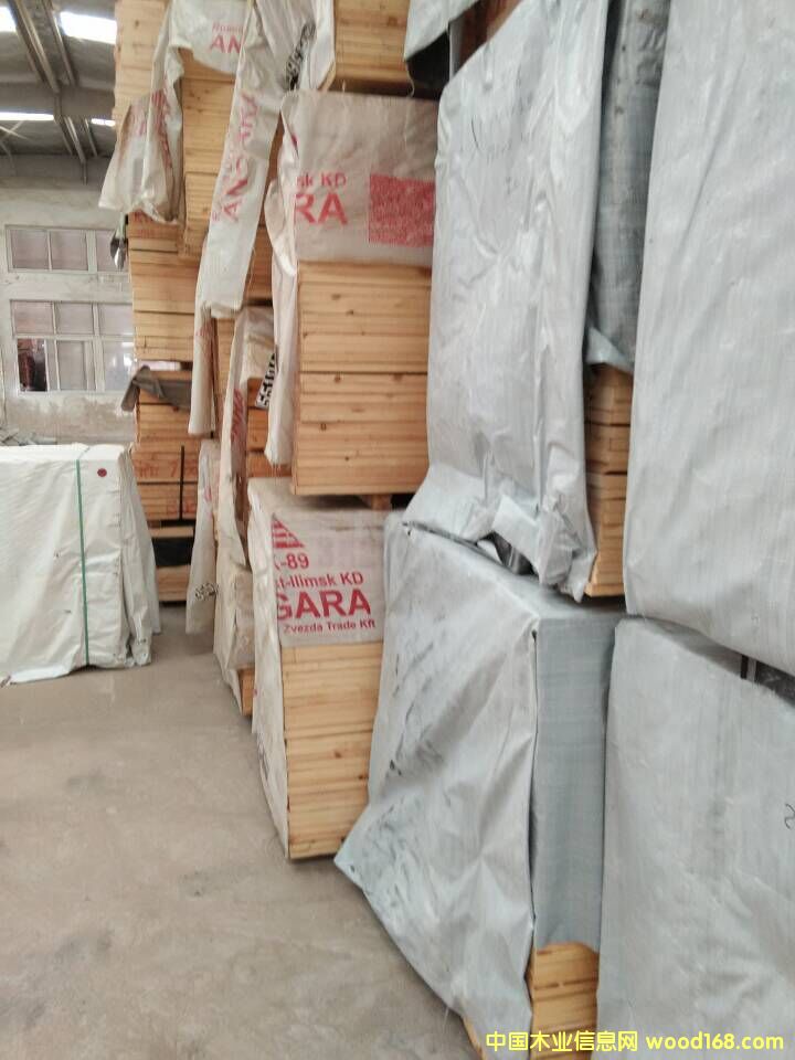 ���_˹������