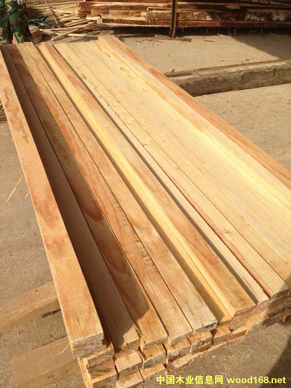 �Ĵ�����ݗ���ɽ���ľ��