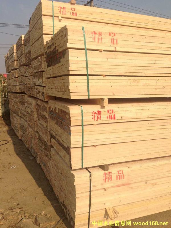 �����Fɼ����ľ��