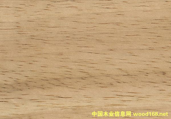 ̩�����zľ