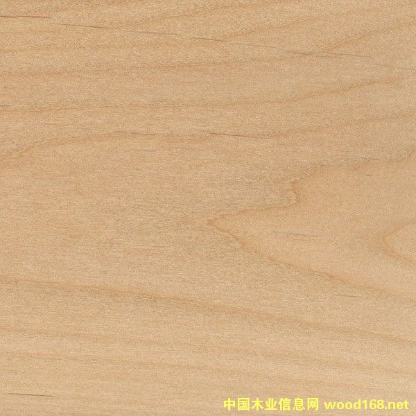 �����Ԕ��(x��)��B