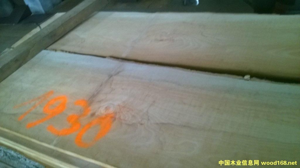 ��ľ���sep2 