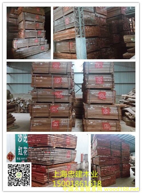 �tRɳ��������