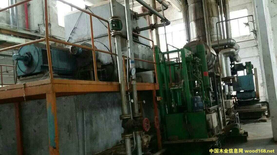 54���M(j��n)��ĥ�C