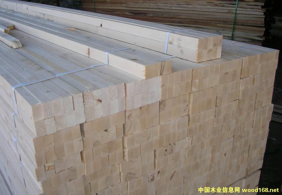 ���ɣ�����������