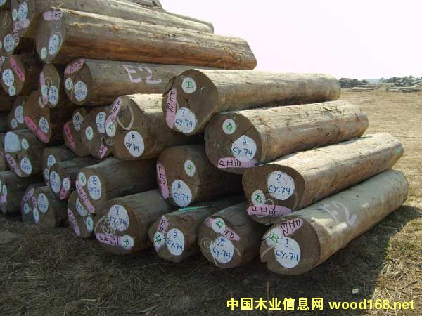 [��] ������ľ��F(xi��n)SC�Nֲ��ľ