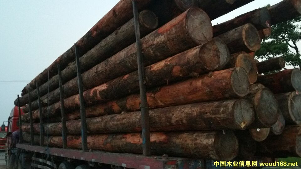 ľ���b܇(ch��)��Ƭ