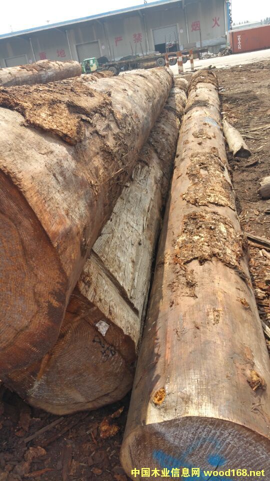 ���ô���