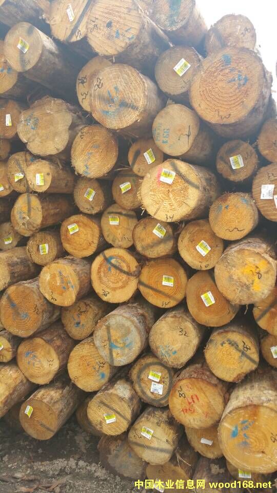 �����mݗ����