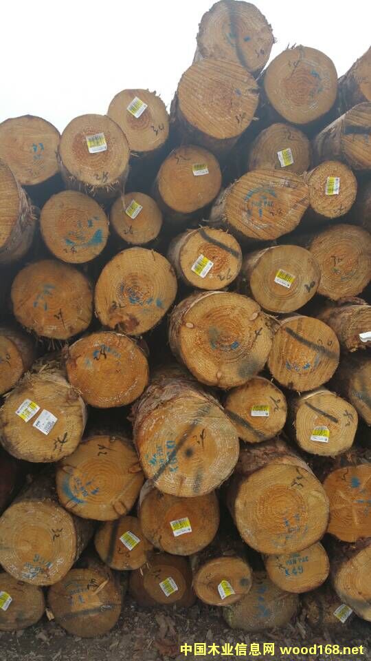 �����mݗ����ԭľ