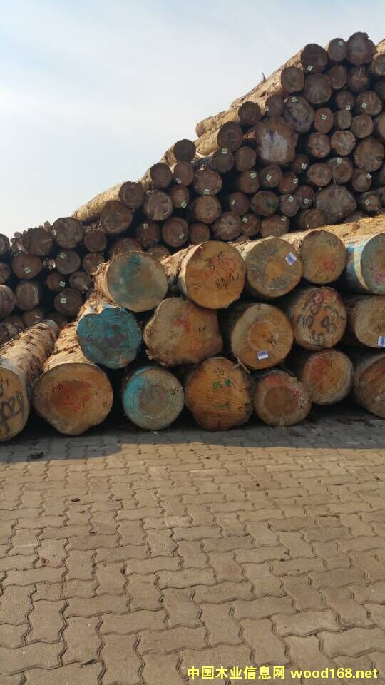 �����mݗ����ԭľ