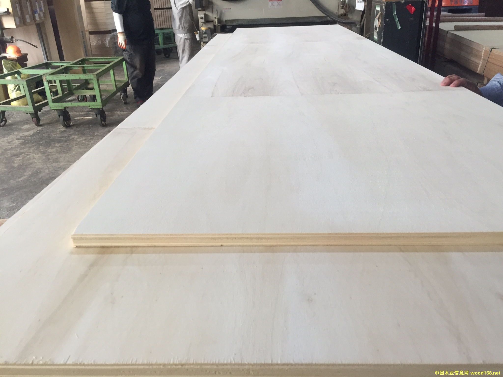 [��] LVB ��Ѭ��ľ�l