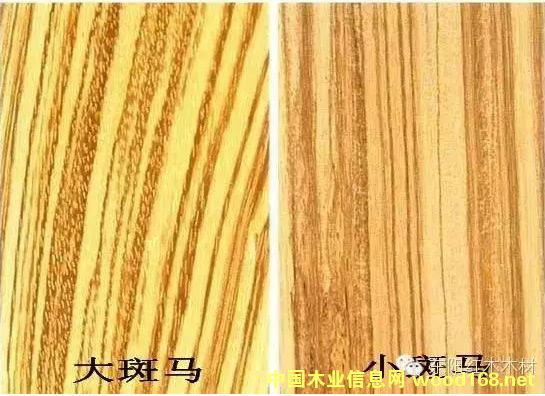 ����ľ�Ҿ��_(k��i)ʼ���� ��(sh��)���С���Rľ