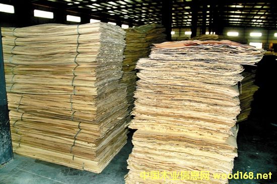 ���K�Ѻ�ľ�I(y��)���������B(t��i)�啳�N�߶��Ј�(ch��ng)