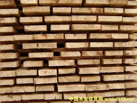 ľ��Ȧ�����zľ؛Դƫ�o���r(ji��)��(w��n)��΢��