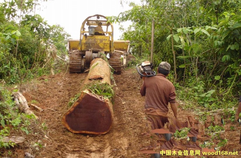 Խ��ľ�Įa(ch��n)�I(y��)�D(zhu��n)���������M(j��n)�������m(x��)����Щ��