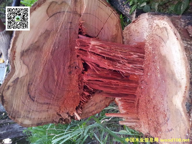 ��t��֦20���(n��i)�ѝq�ٱ���10���߀���ϝq30����