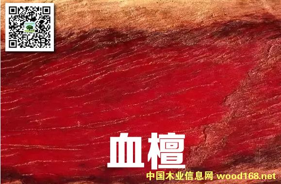 Ѫ̴��̴����̴���R�e����