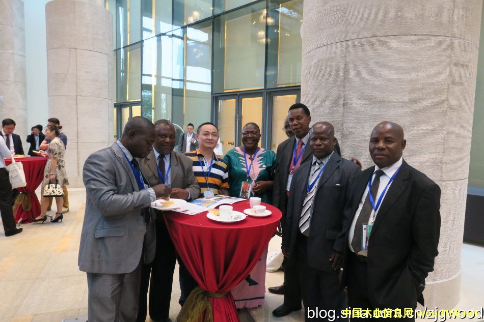 ����ľ�Ĵ�����_��ľ�I(y��)����ʢ����������Ⱥ���