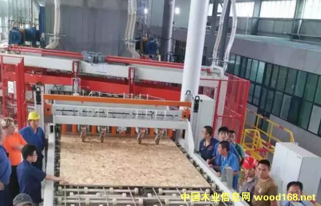 ����ľ�I(y��)�׏�����Y(ji��)��(g��u)��OSB���������_����ľ�I(y��)ʷ��ƪ��