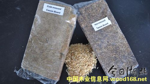 �����ٻ��壺����(j��ng)��(j��)���h(hu��n)�����־�