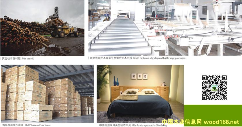 �����J�RAlder�S��ľ