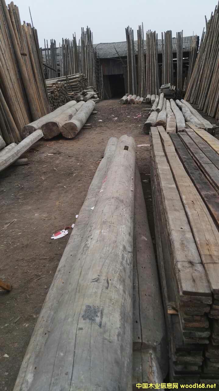 木的詳細(xì)介紹